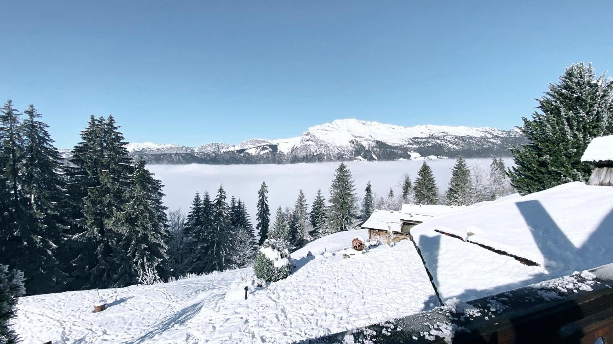 La Ferme Des Vonezins Hotel Thônes Eksteriør billede
